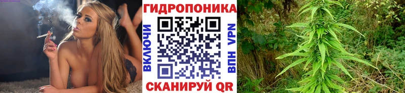 Купить закладку ГАШ  АМФЕТАМИН  Альфа ПВП  Бошки Шишки  Меф  Кодеин  Кокаин  Петухово