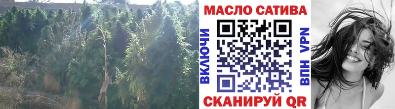 Дистиллят ТГК вейп  Купить  Петухово 