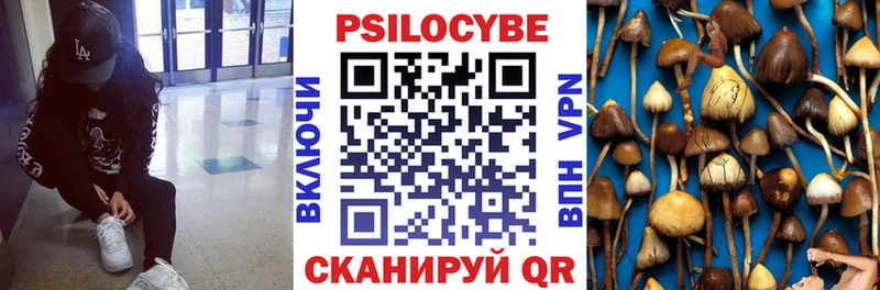 Купить  Петухово  Галлюциногенные грибы ЛСД 
