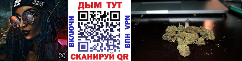 Конопля Bruce Banner  Купить где  Петухово 
